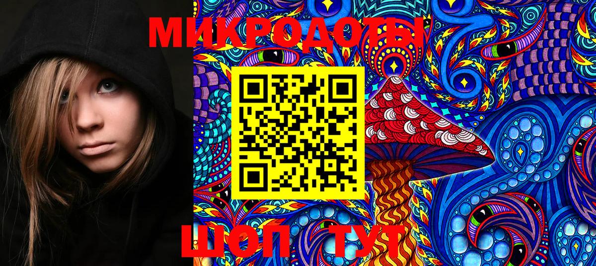 Галлюциногенные грибы MAGIC MUSHROOMS  Вход с VPN  Хабаровск 