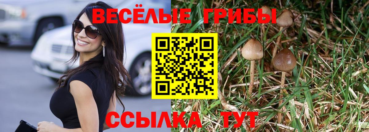 Псилоцибиновые грибы мухоморы Хабаровск